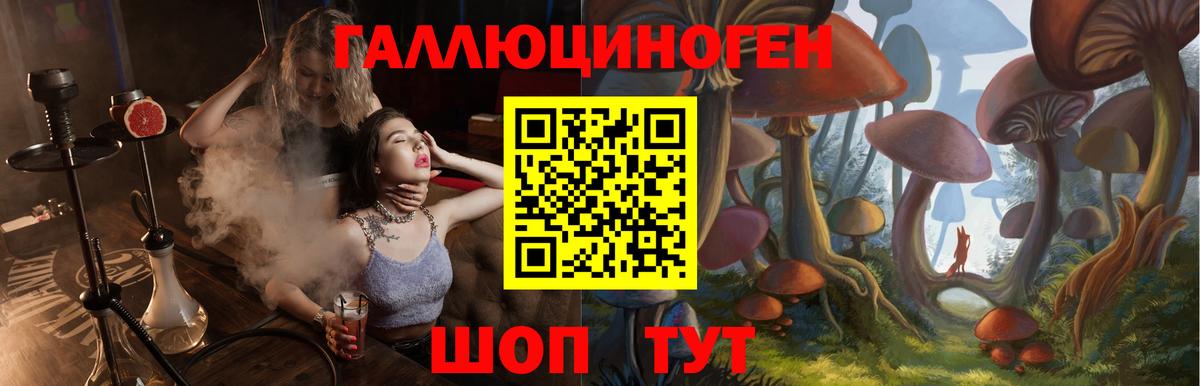 Псилоцибиновые грибы Psilocybe  Вход с VPN  Губкинский 